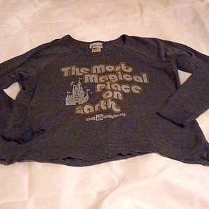 Grey Disney Parks Sweatshirt